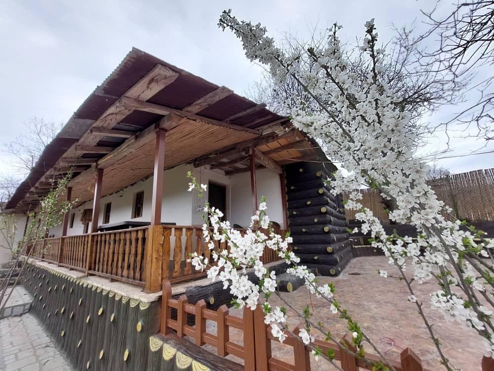 اجاره ویلا و اقامتگاه سوئیت جنگلی عمو سامی در محمدآباد بهشهر