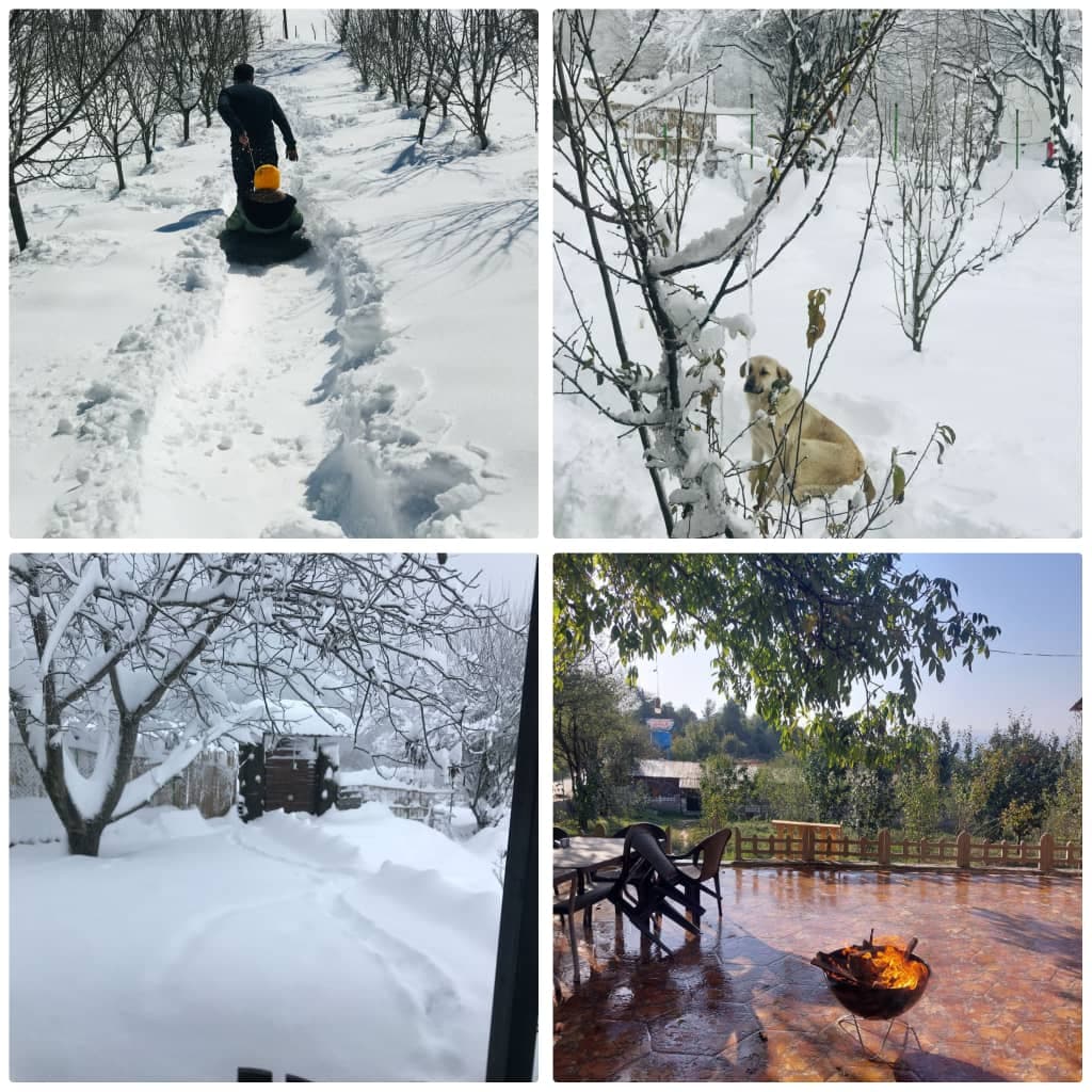 اجاره ویلا و اقامتگاه سوئیت جنگلی عمو سامی در محمدآباد بهشهر