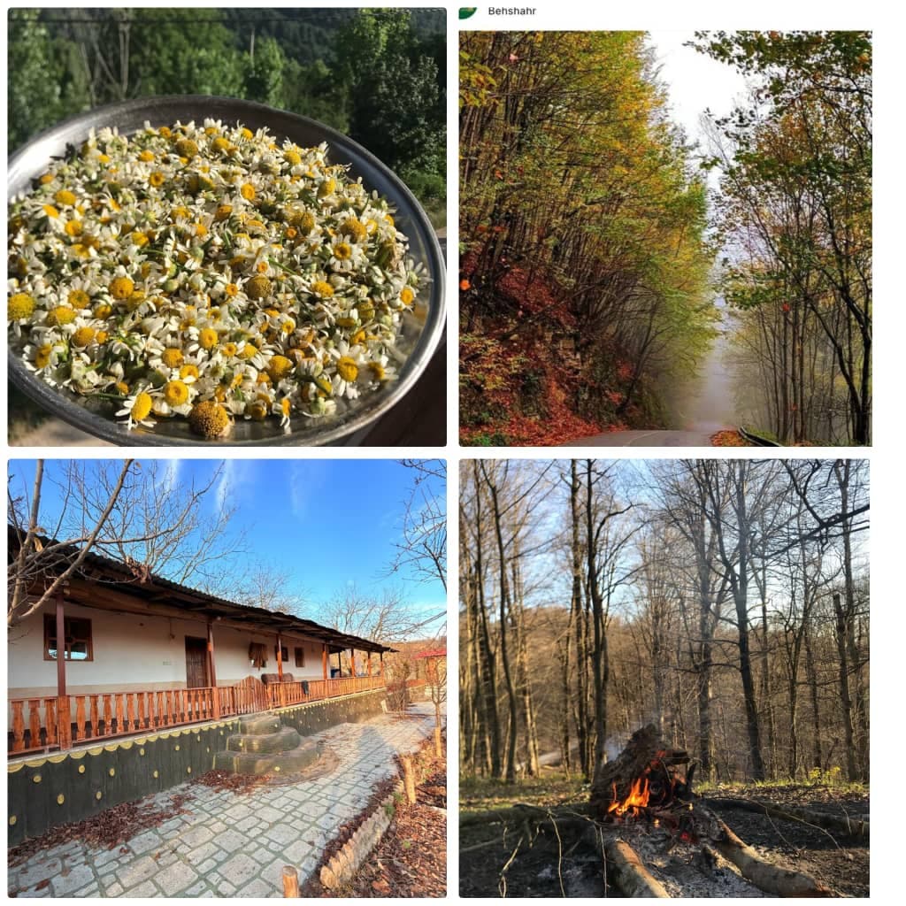 اجاره ویلا و اقامتگاه سوئیت جنگلی عمو سامی در محمدآباد بهشهر