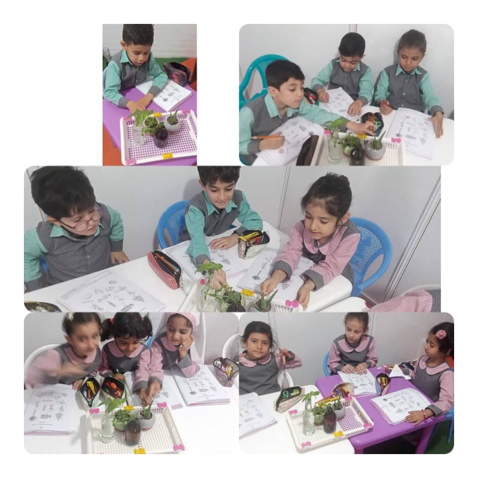 پیش دبستانی فرشته ها در شیراز