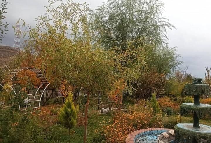 مجموعه تفریحی و گردشگری پروشات در بافت