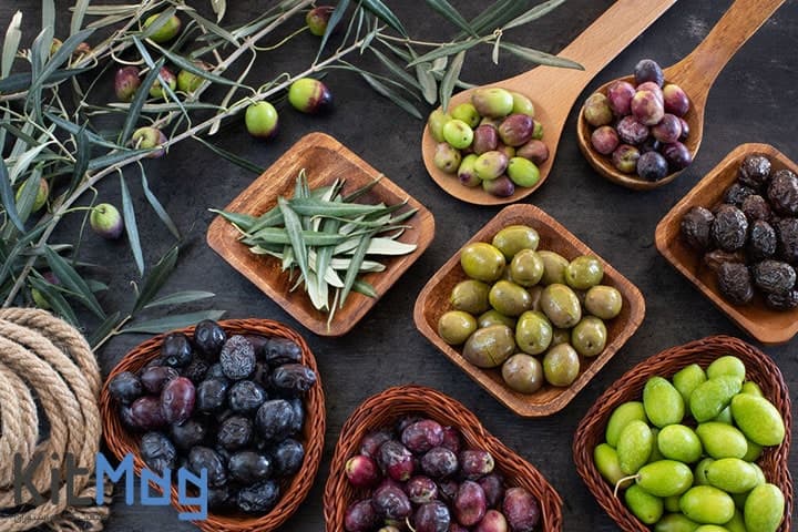 کارخانه تولید و فروش زیتون و روغن زیتون تاج سبز نوین رشت