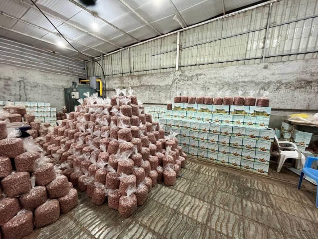 کارخانه فرآوری بادام زمینی برادران معصومی مغان پارس آباد