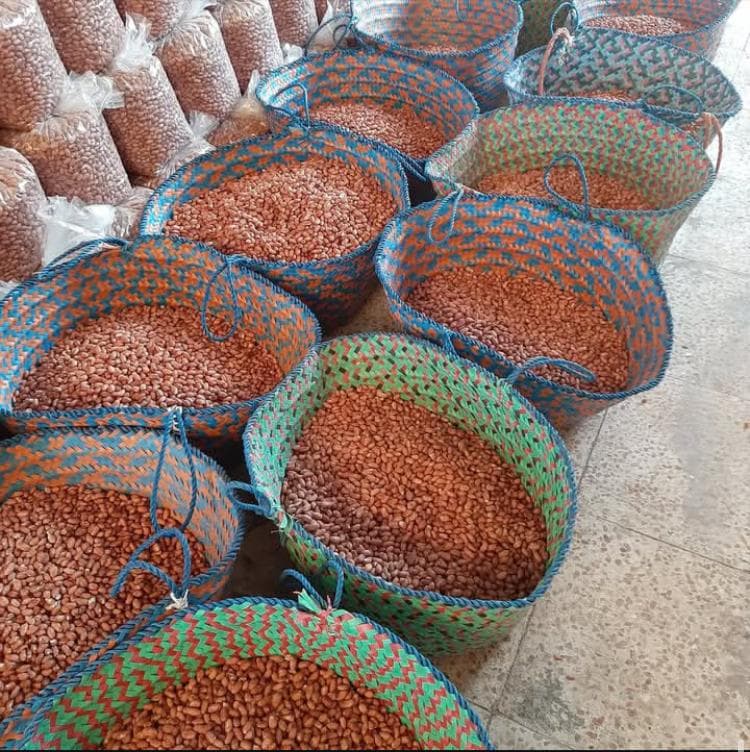 کارخانه فرآوری بادام زمینی برادران معصومی مغان پارس آباد