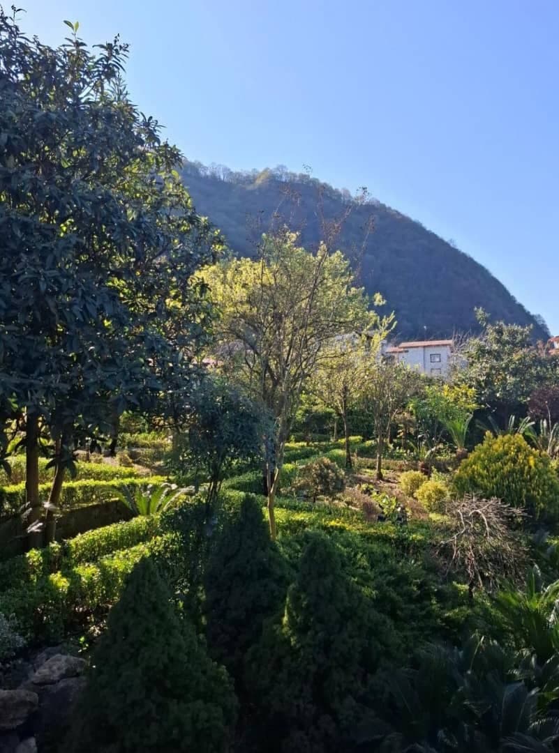 اجاره باغ ویلا کوهپایه و روبروی جنگل بمدیریت خانم باقری در رامسر