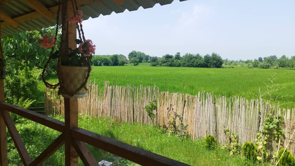 اجاره اقامتگاه کلبه چوبی افرا در لاهیجان