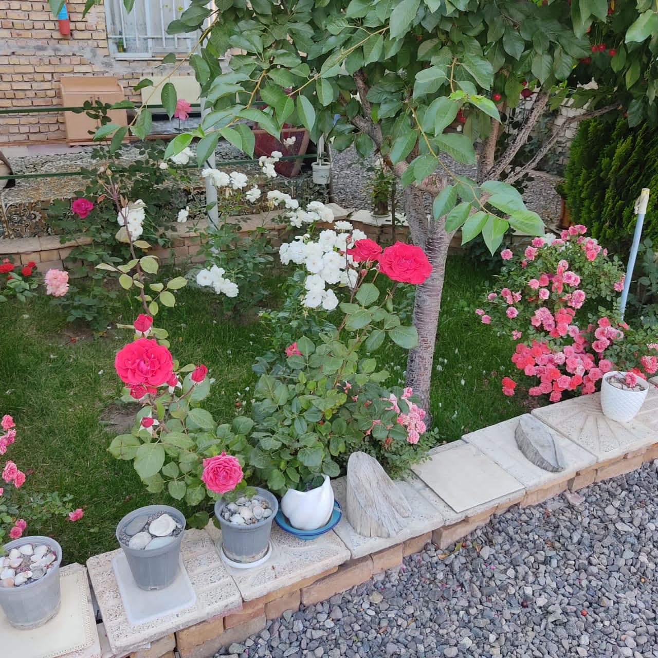 اقامتگاه بومگردی گردشگری تهم زنجان