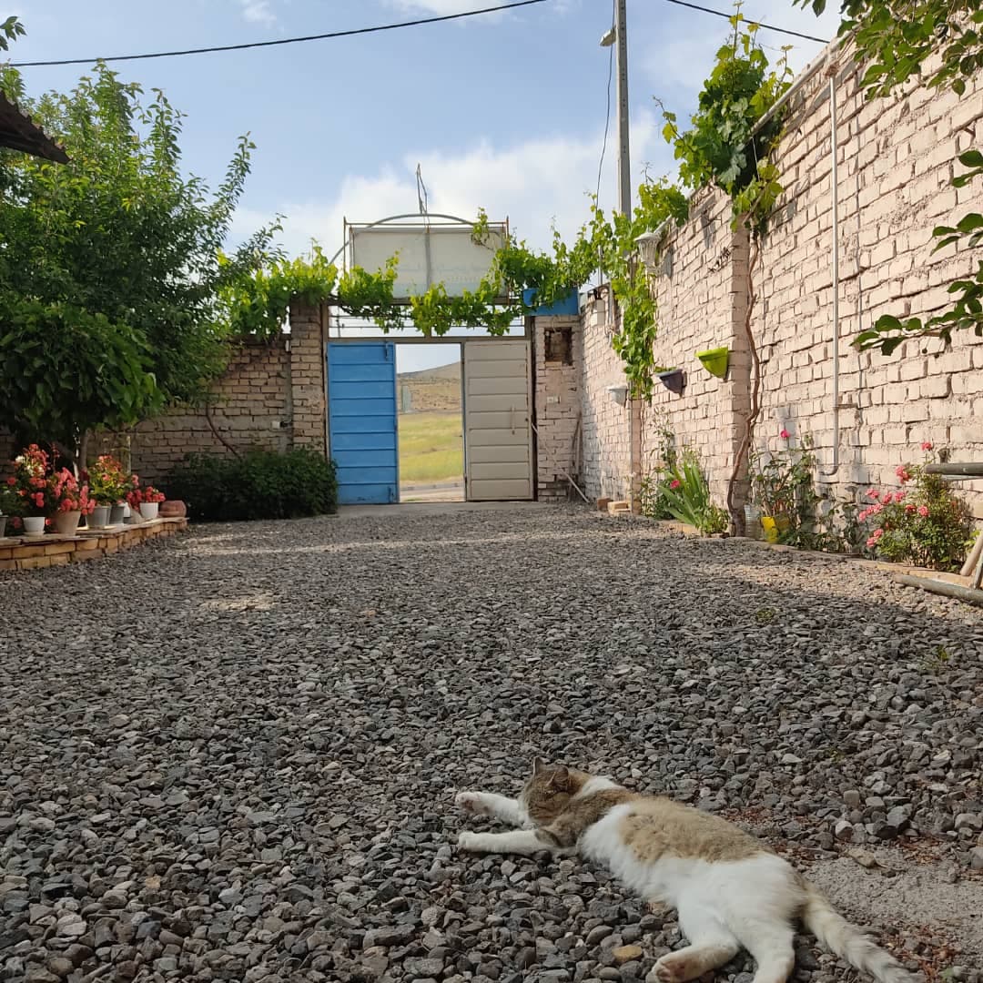 اقامتگاه بومگردی گردشگری تهم زنجان