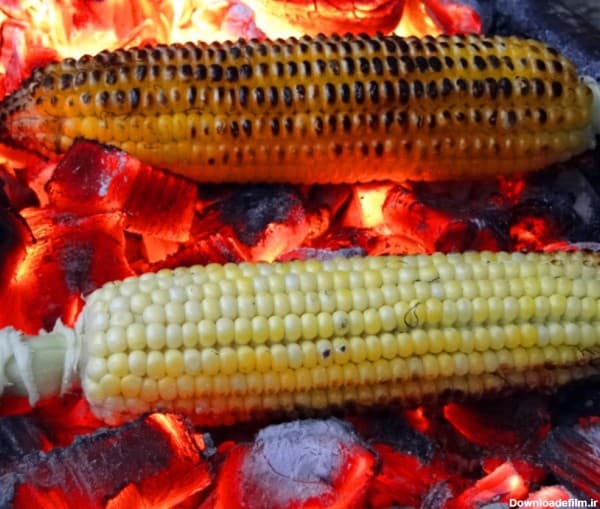 مجموعه تفریحی اقامتی و گردشگری ده سراب در گرمسار