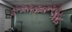 آموزش خدمات تخصصی فیبروز پریسا فرجی در ونک تهران