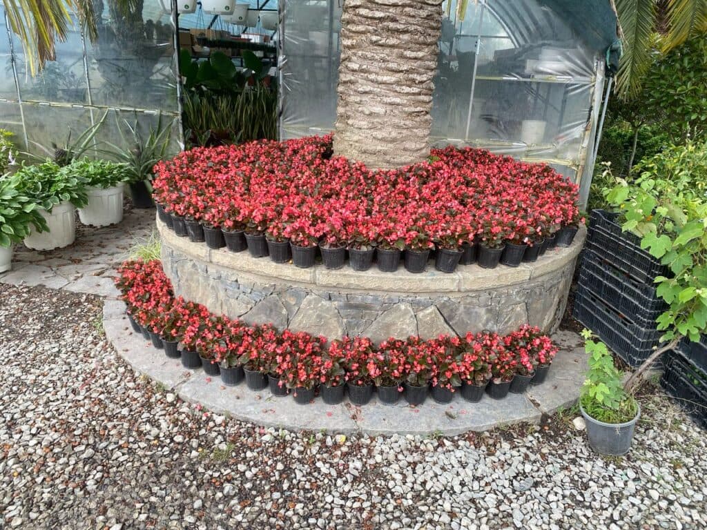 محقق مدرس محوطه سازی و فضای سبز دکتر میثم علی پور سلمانشهر