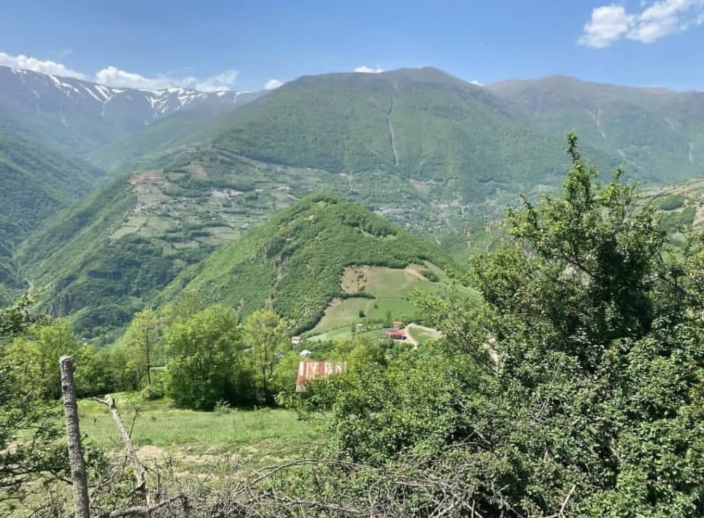 محقق مدرس محوطه سازی و فضای سبز دکتر میثم علی پور سلمانشهر