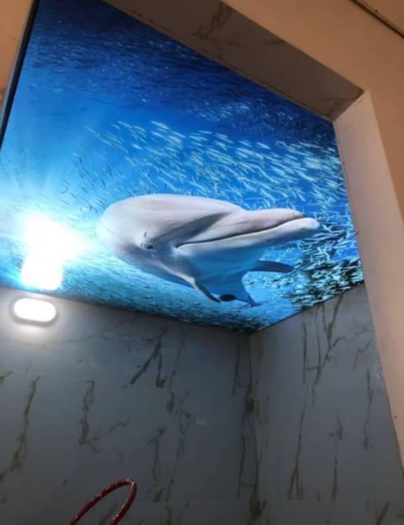 اجرای سقف کاذب کشسان پانیذ در یزد