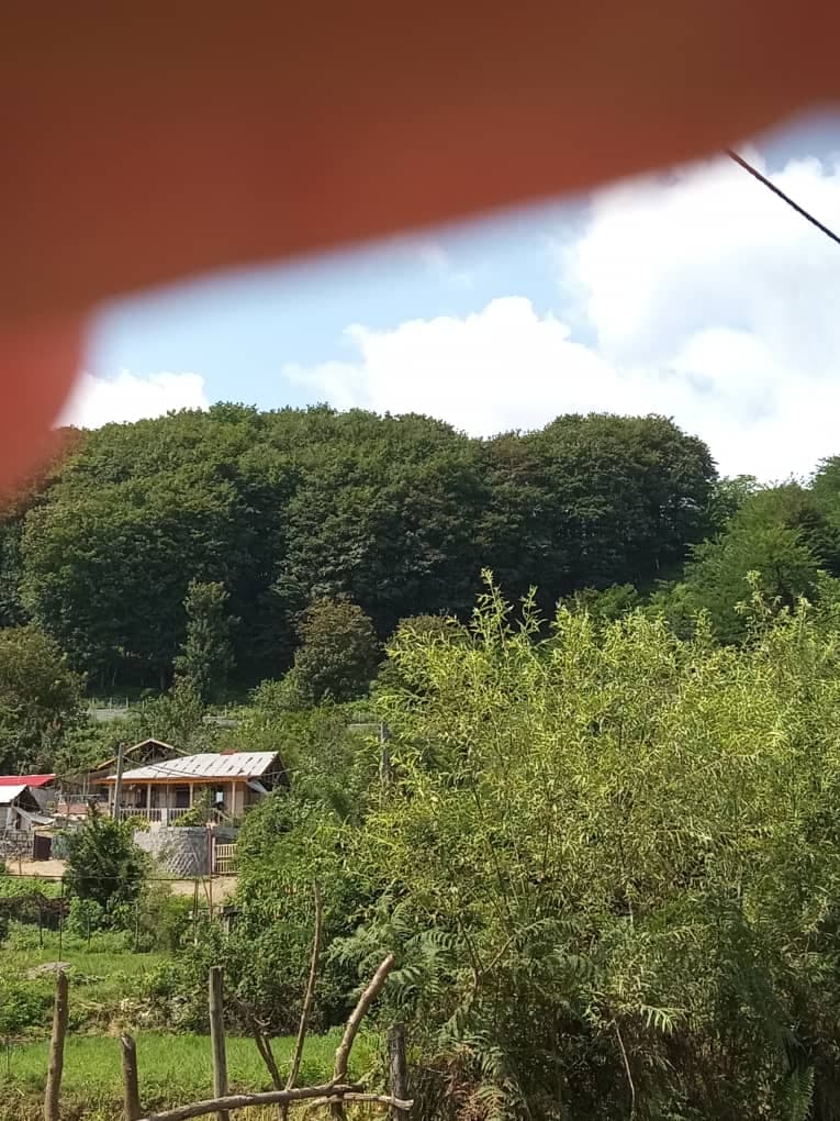 اجاره ویلا جنگلی جعفرنژاد در روستای تنیان ماسال