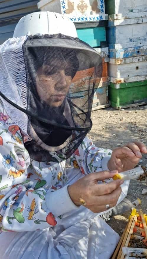 تولید عسل خالص کنار در لامرد جنوب