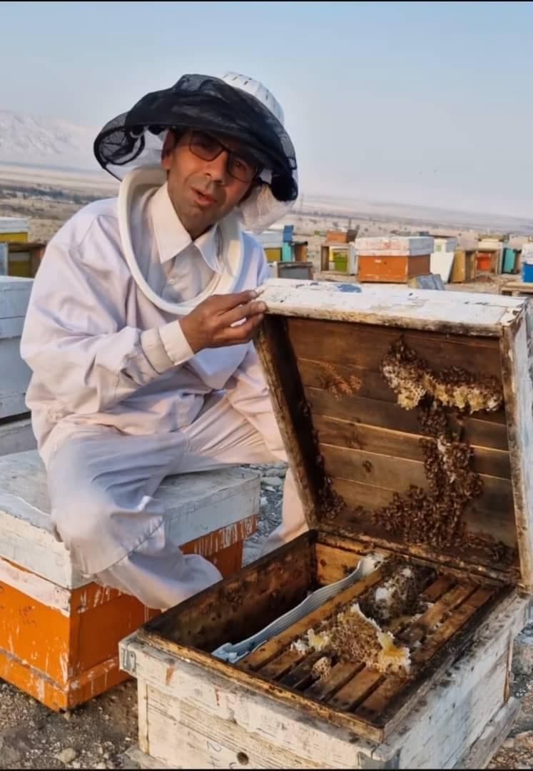 تولید عسل خالص کنار در لامرد جنوب
