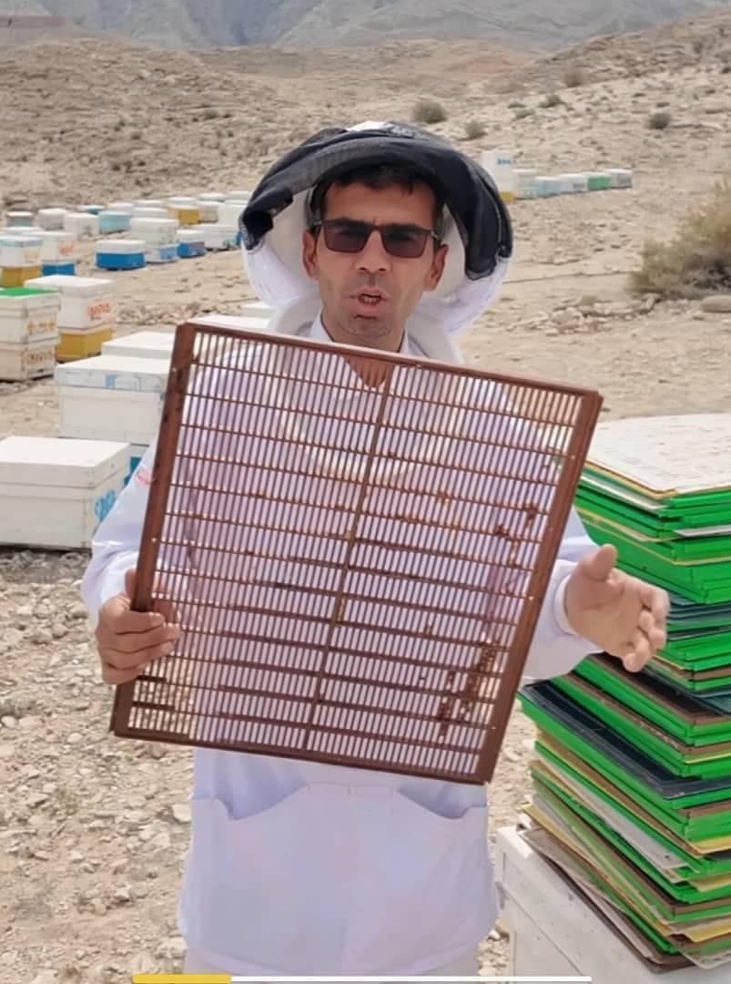 تولید عسل خالص کنار در لامرد جنوب