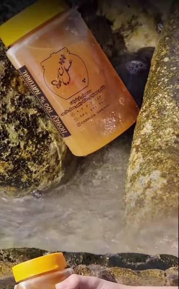 تولید عسل خالص کنار در لامرد جنوب