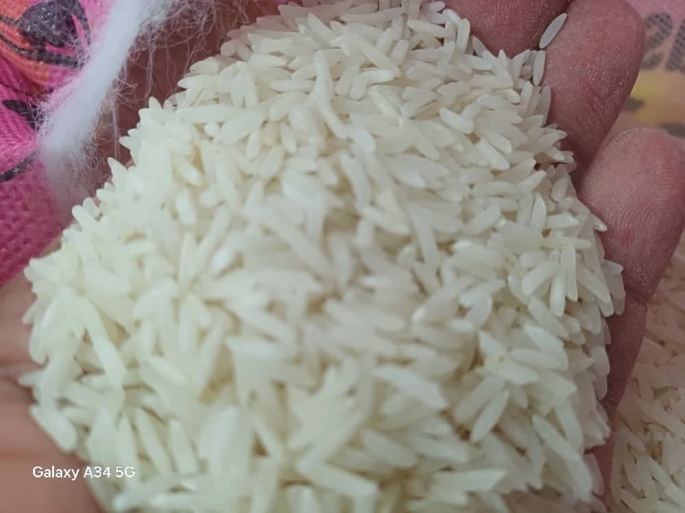 پخش مستقیم برنج هاشمی و طارم بازرگانی مهر ماندگار در غرب تهران