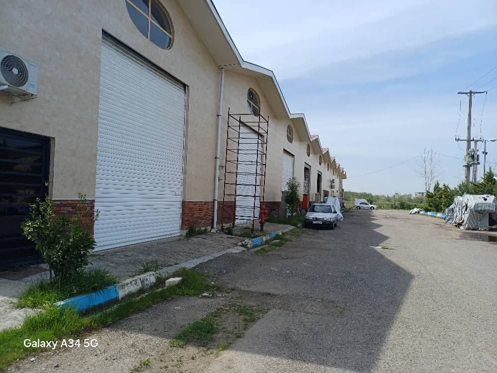 پخش مستقیم برنج هاشمی و طارم بازرگانی مهر ماندگار در غرب تهران