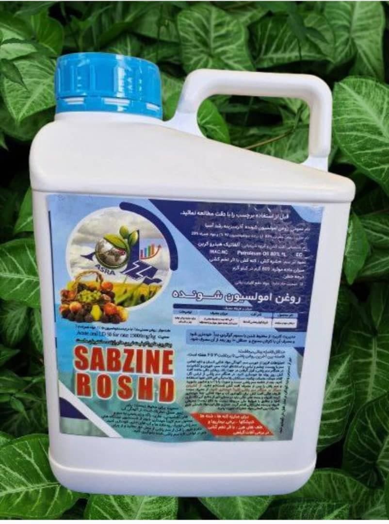 تولید فروش روغن ولک زمستانه آذرسبزینه رشد آسیا در تاکستان