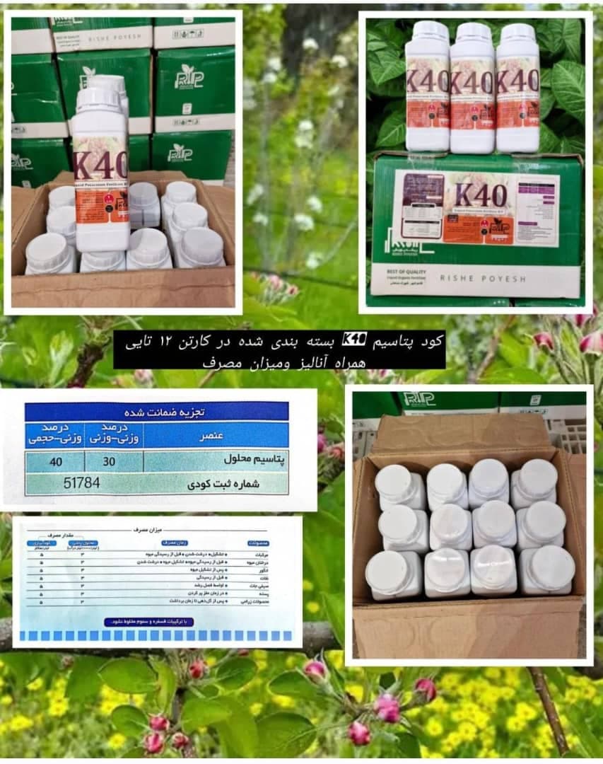 تولید آفت کش های شیمیایی آذرسبزینه رشد آسیا در شیراز