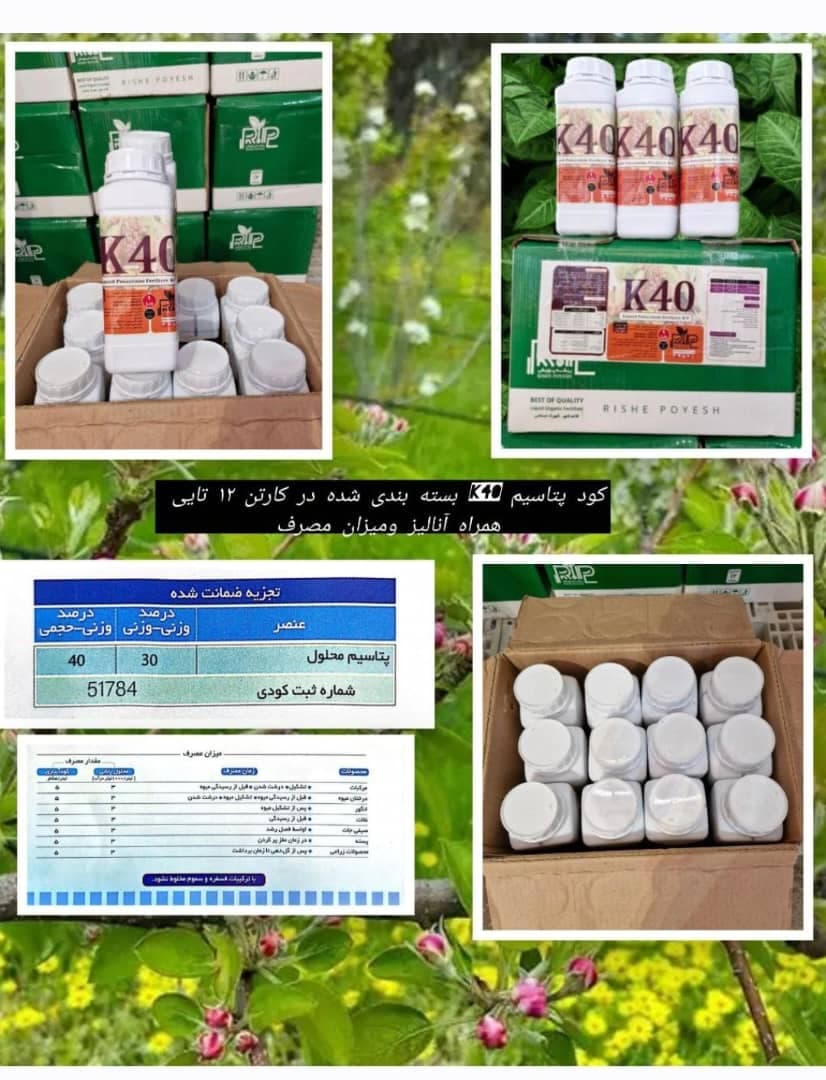 تولید آفت کش های شیمیایی آذرسبزینه رشد آسیا در ارومیه