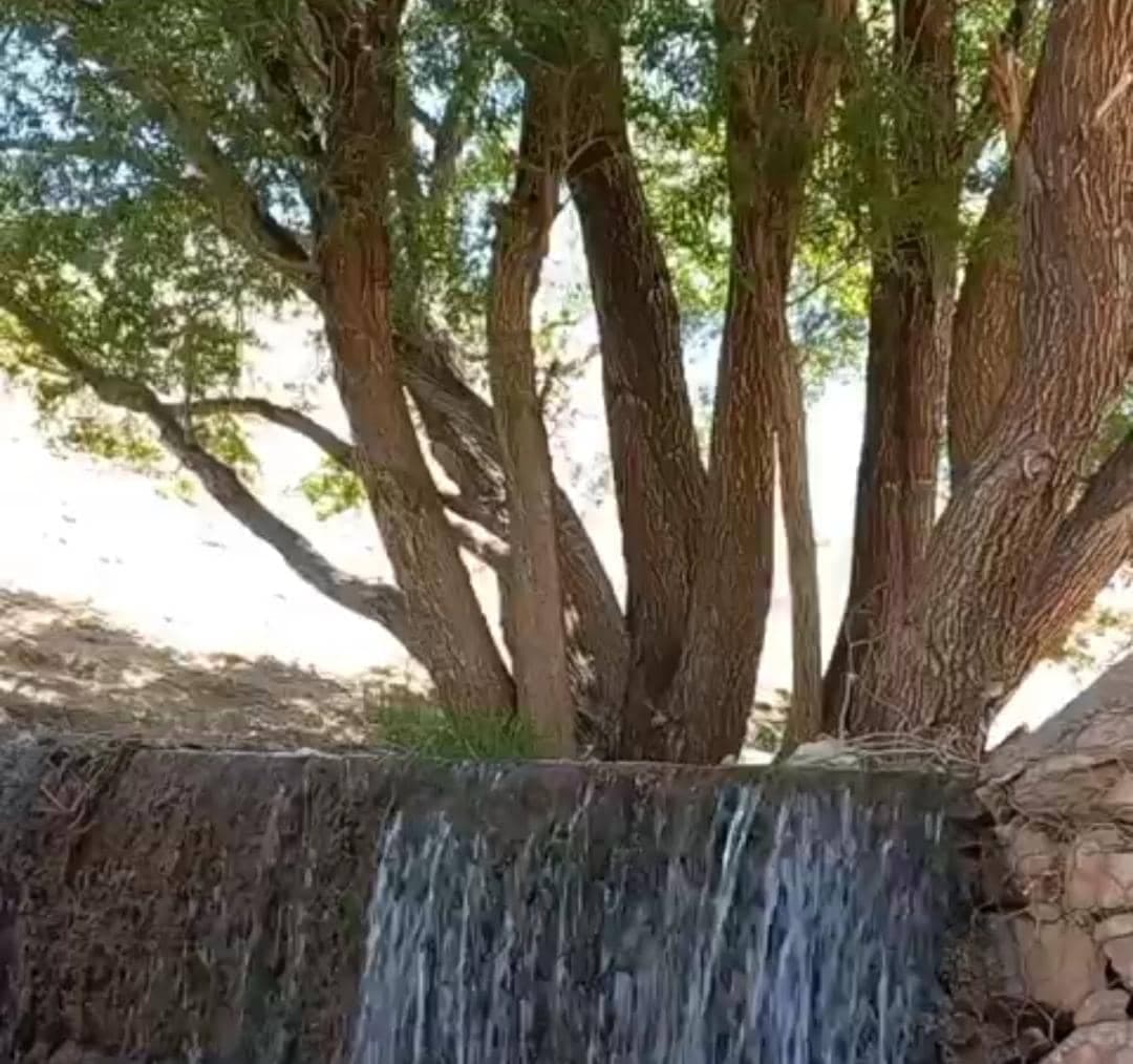 دفتر خدمات گردشگری سولدوز سفر در نقده