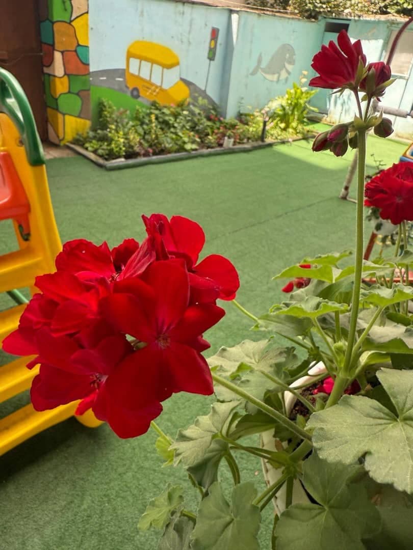 مهد کودک و پیش دبستانی دلبند در رشت