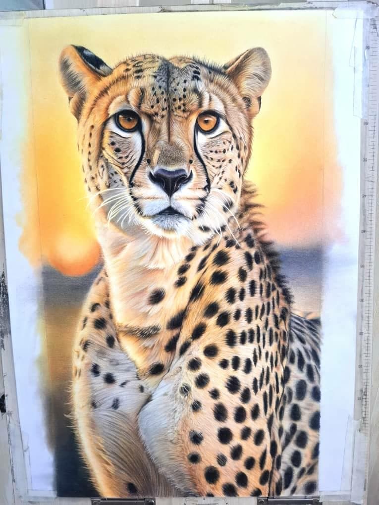 آموزشگاه نقاشی مدادرنگی در مشهد