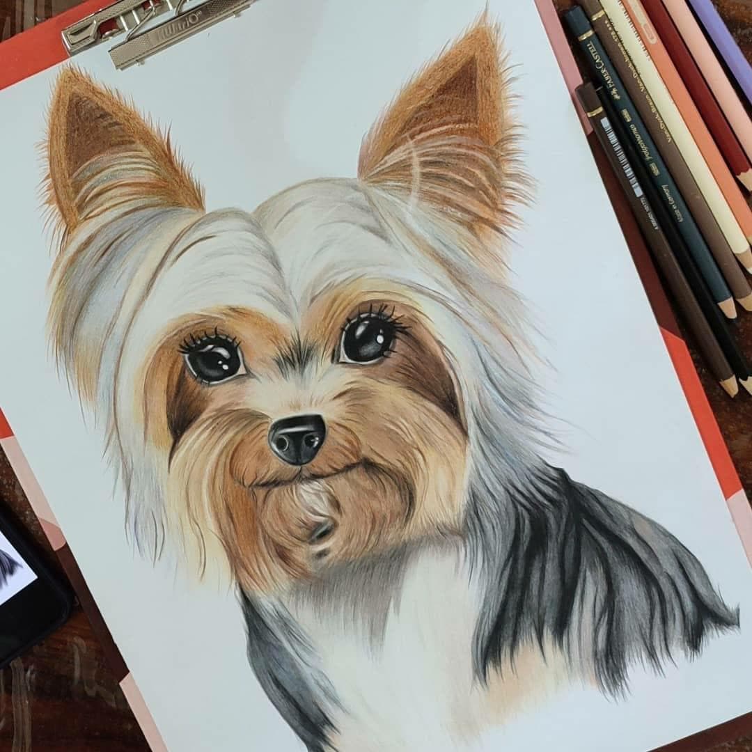 آموزشگاه نقاشی مدادرنگی در مشهد