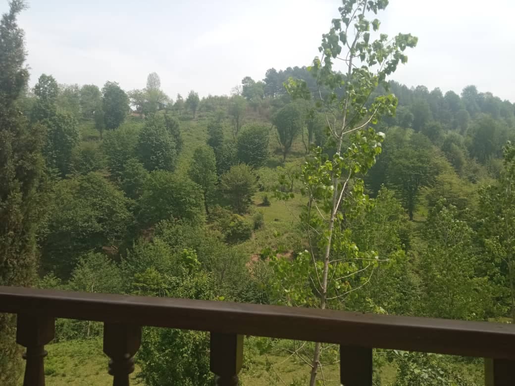 اجاره ی ویلا و کلبه سوئیسی مهدیا در ماسال