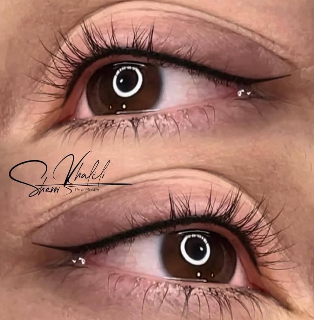 آموزش خدمات تخصصی آرایش دائم و ریمو تاتو شری خلیلی در شیراز