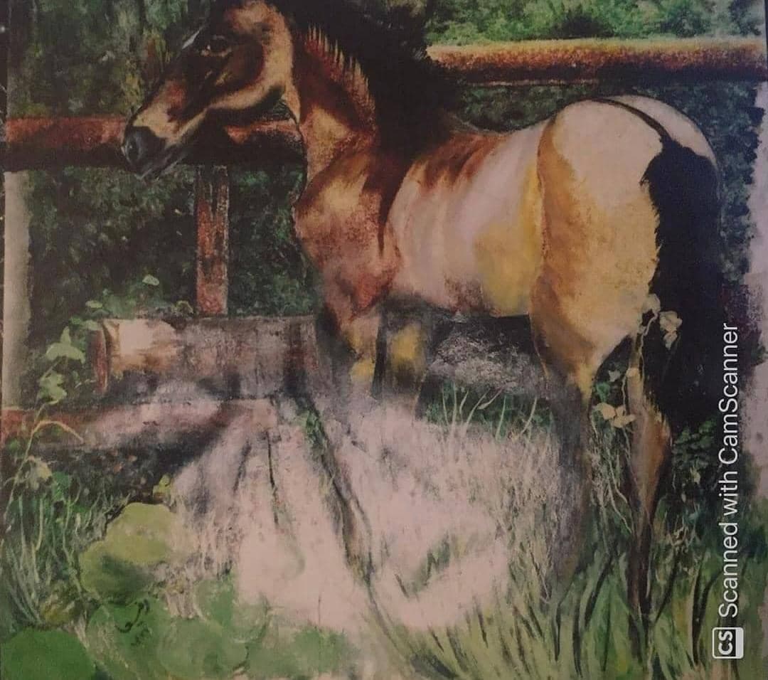 فروش تابلو های رنگ روغن رفیعا در ونک تهران