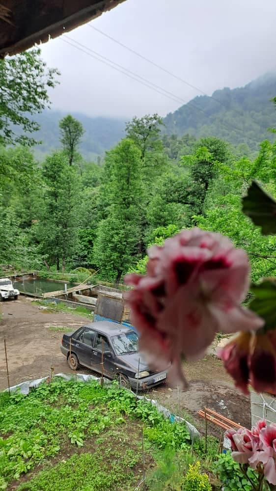 اقامتگاه امیر حسنی در املش