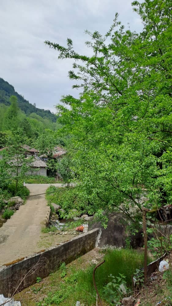 اقامتگاه امیر حسنی در املش