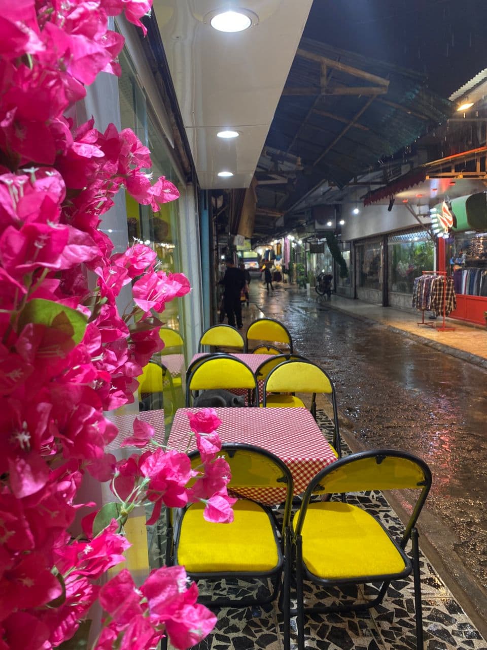 آشپزخانه و غذای بیرون بر خانم کوچیک در رشت