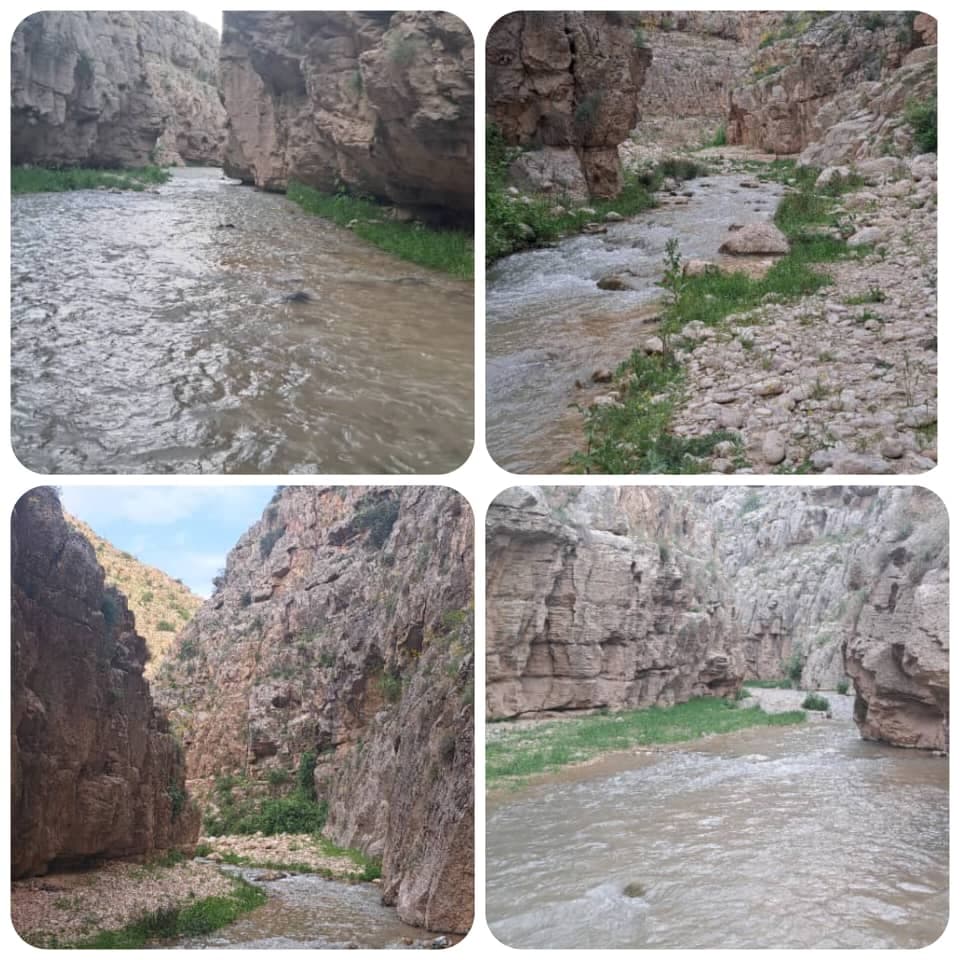 اقامتگاه بومگردی باغ گیلاس در آشخانه